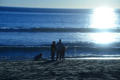 DSC_1190 (Large).JPG